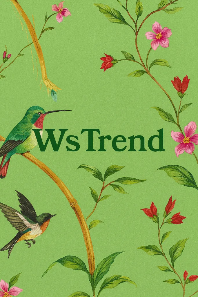 顽石频道原图 2